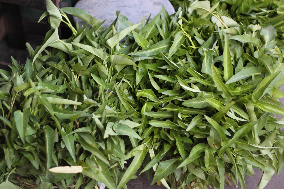 Kangkung (Water Spinach)