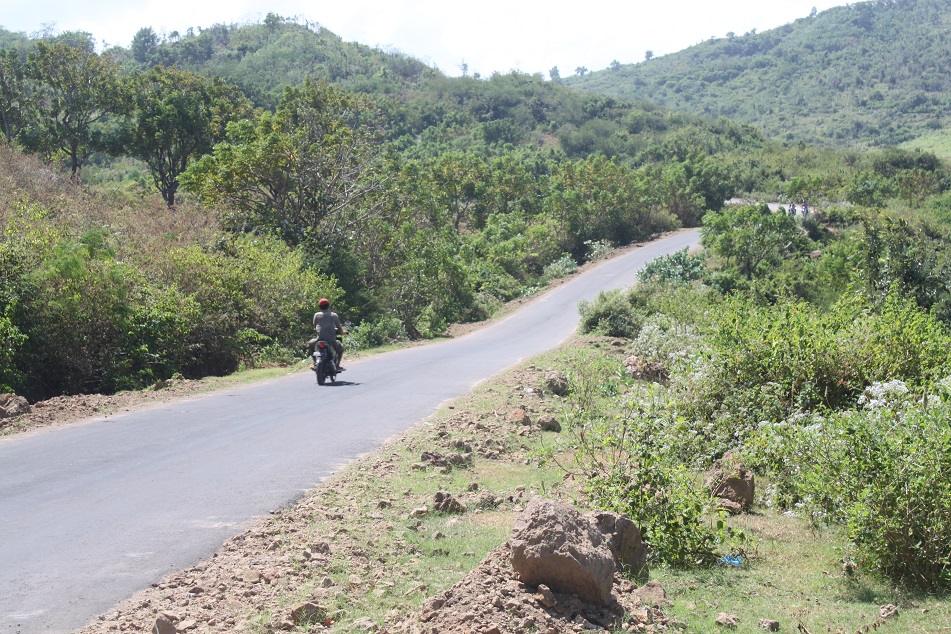 The Winding Road to Selong Belanak