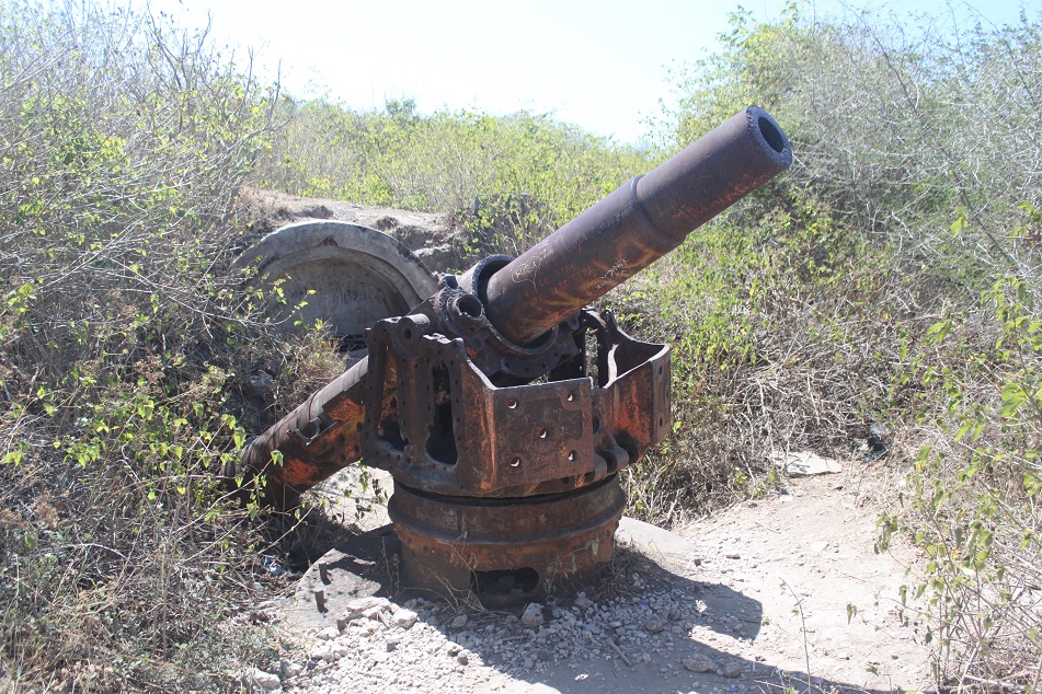Japanese Cannon