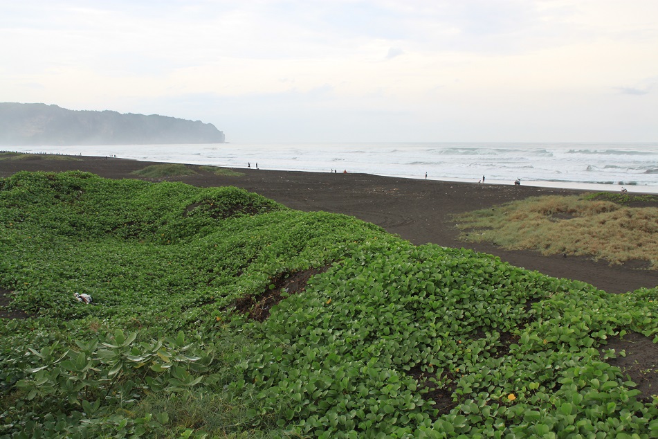 The Mystical Southern Coast of Java
