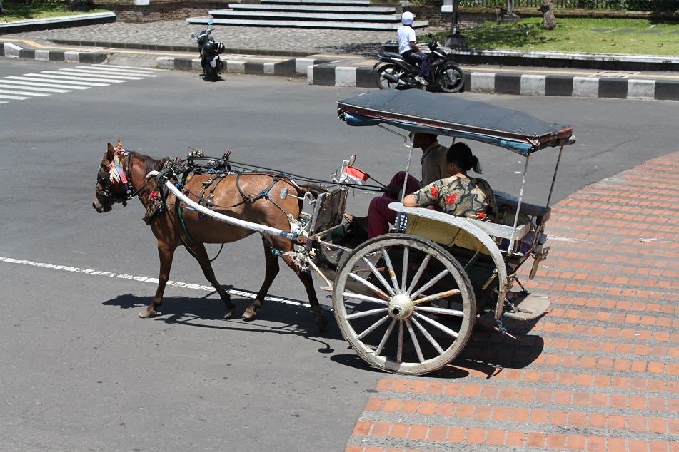 Horse-Drawn Carriage, A Vestige from the Past