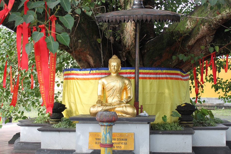 Golden Buddha under A Tree