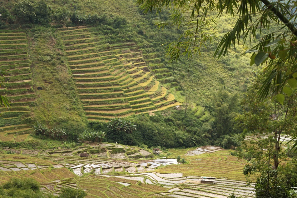 The Majestic Rice Terraces of Manggarai