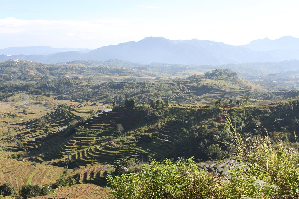 The Impossibly Expansive Rice Terraces at Kilolima, on the Way to Reo