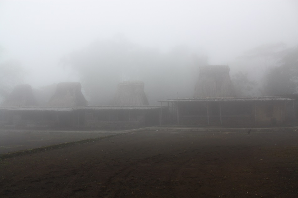 A Village Hidden in the Mist