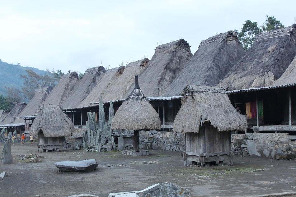 Bena's Traditional Houses