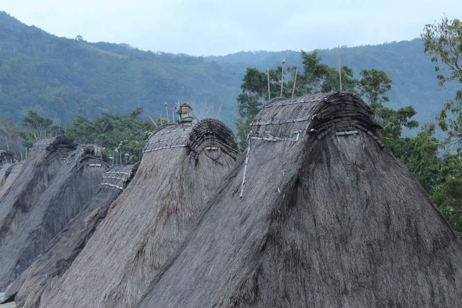 Rows of Thatched Roof