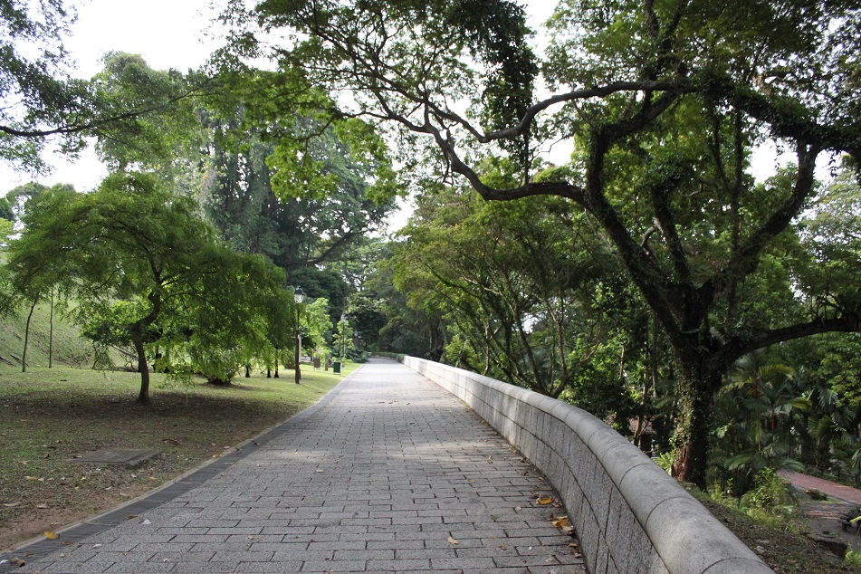 A Pathway at Fort Canning Hill