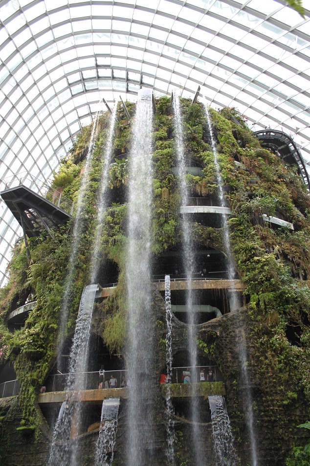 Artificial Waterfalls at the Cloud Forest