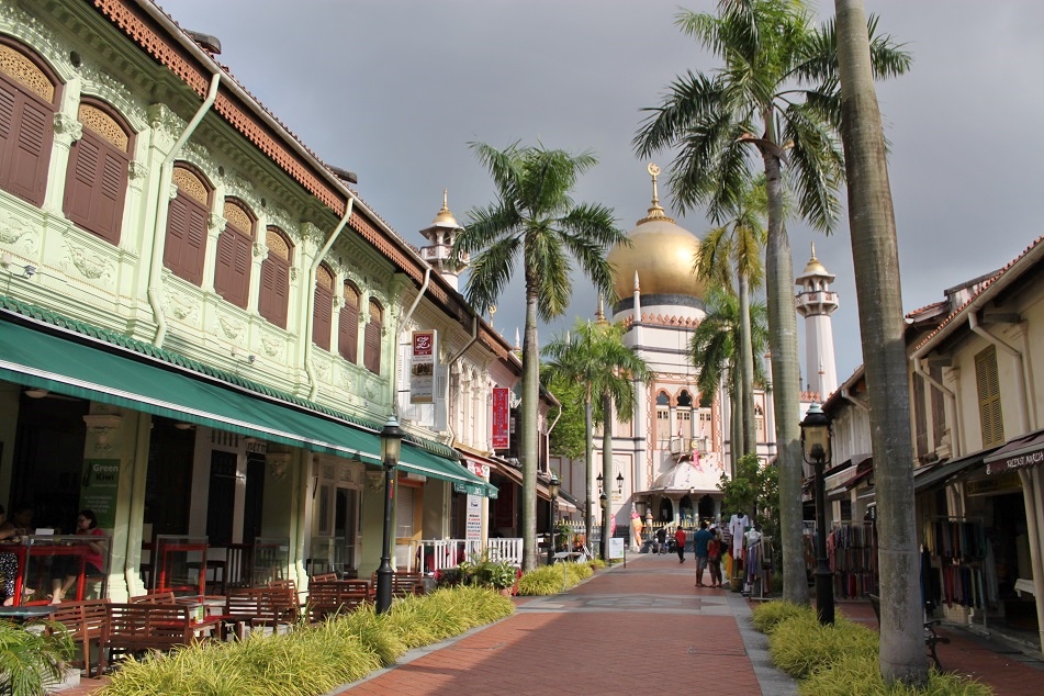 Palm Tree-Lined Street at Kampong Glam