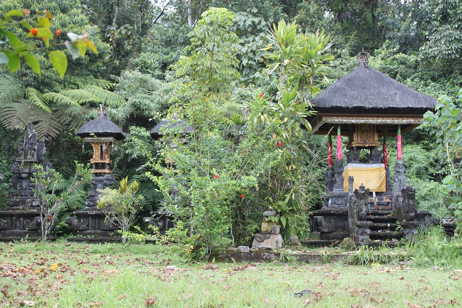 The Village's Pura Subak