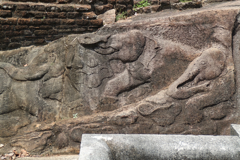 Elephant Carvings at Ranmasu Uyana