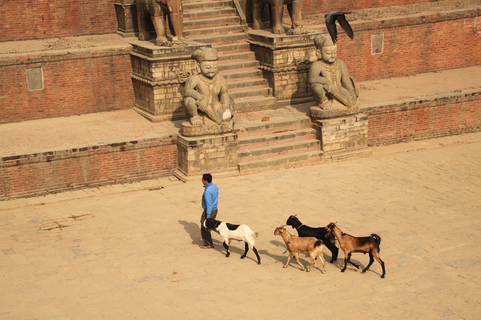 Daily Life Unfolds at Taumadhi Square