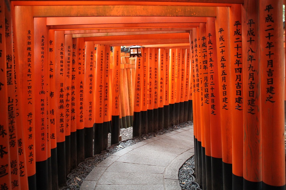 Endless Vermilion Torii (Japanese Gate) at Fushimi Inari Taisha