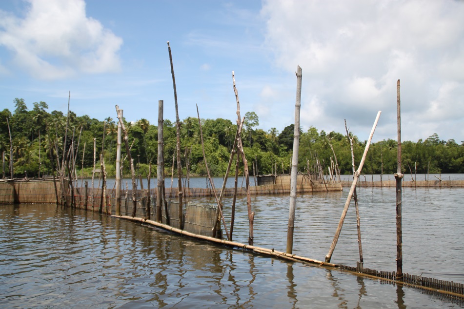Structures for Fishing