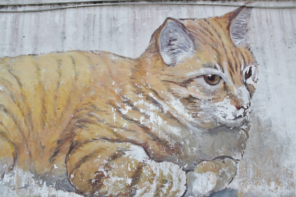 Cat Mural 1