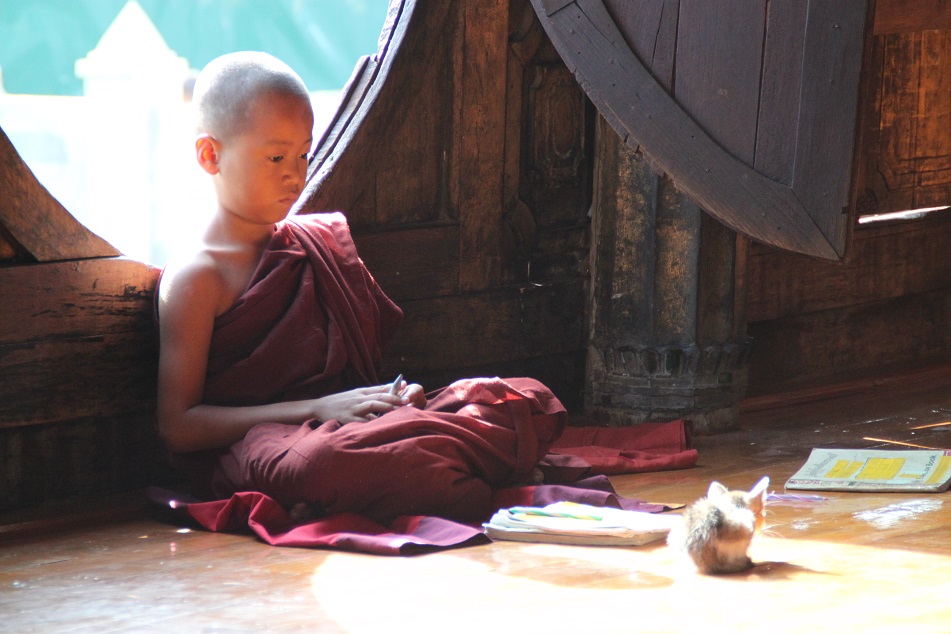 A Novice Monk and A Cat